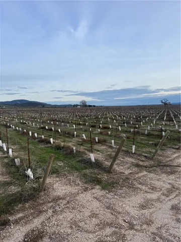 48655 Lockwood Jolon Road, Lockwood, California 93932