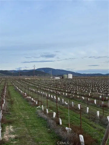 48655 Lockwood Jolon Road, Lockwood, California 93932