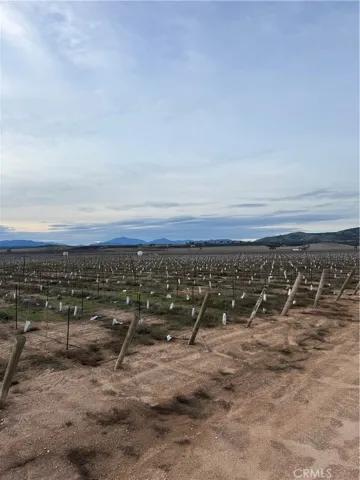 48655 Lockwood Jolon Road, Lockwood, California 93932