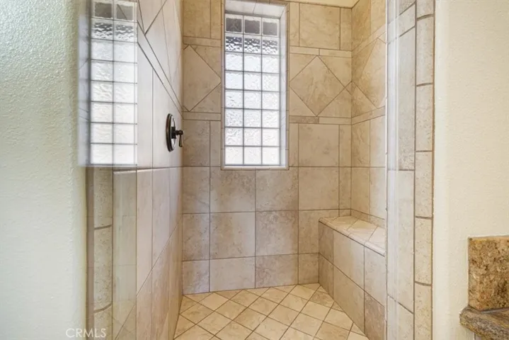 Primary Shower