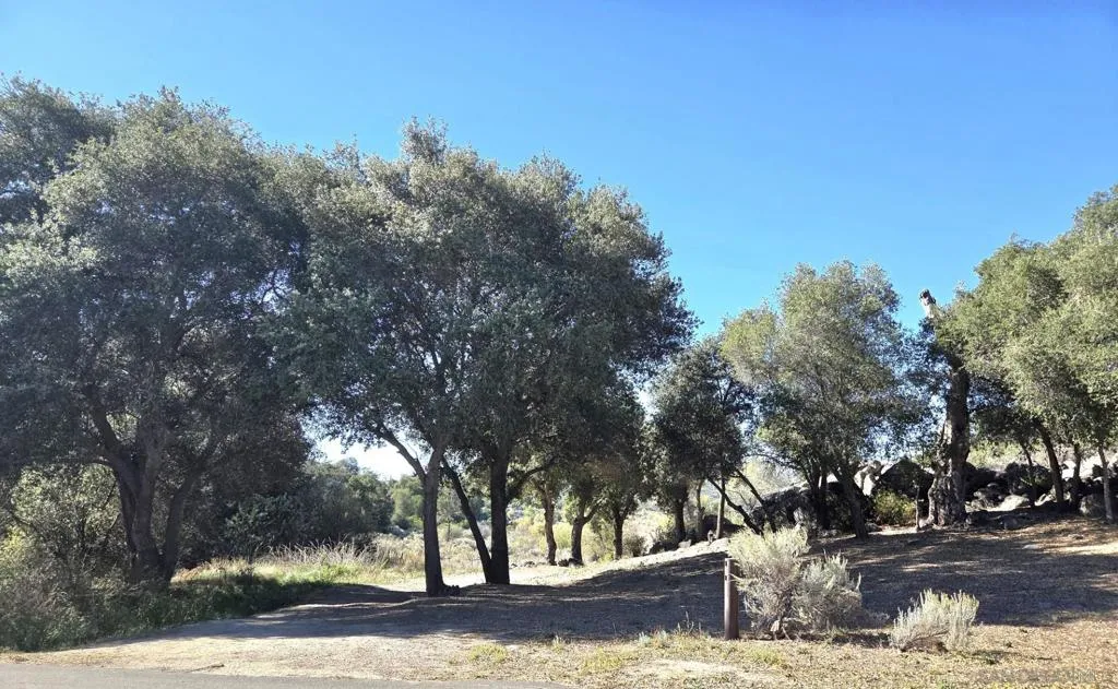 2581 Lake Shore Drive, Campo, California 91906 home-pic-24