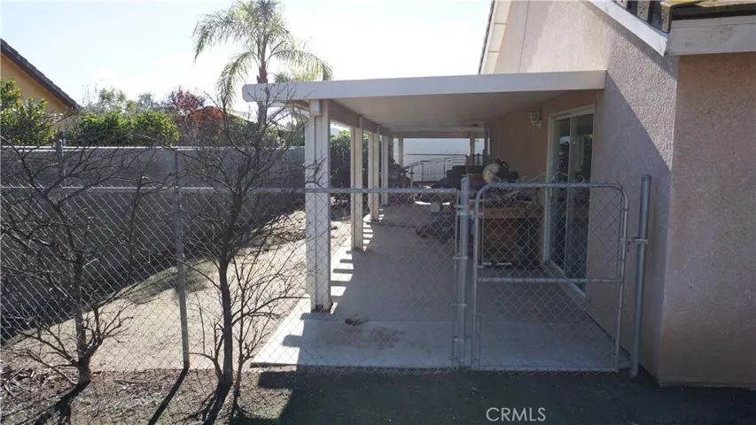 ONE SIDE OF THE BACKYARD