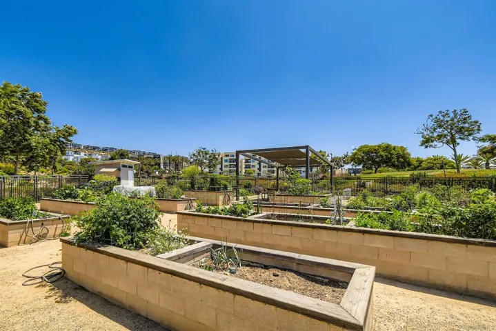 Community Garden