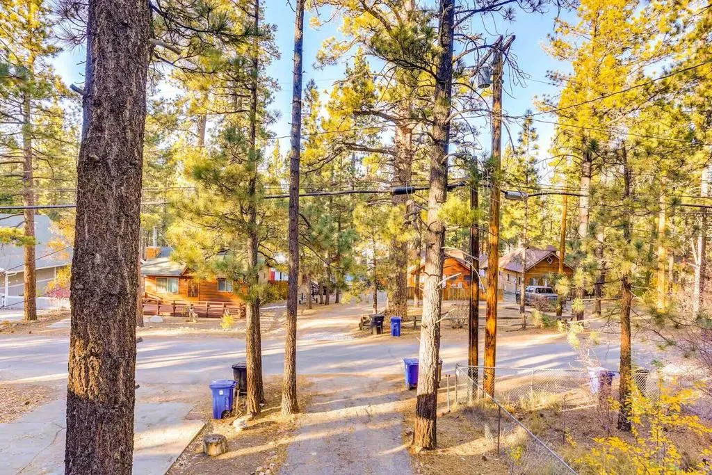 524 W Rainbow Boulevard, Big Bear, California 92314 home-pic-17