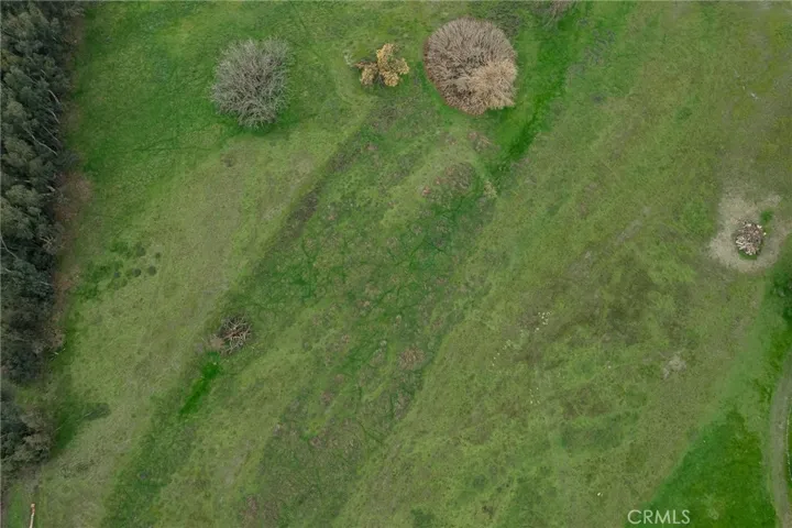 close up - dry creek area