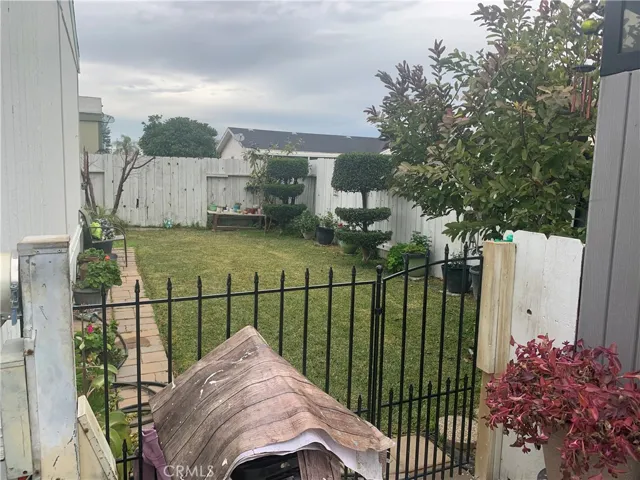 Nice & Clean Back Yard