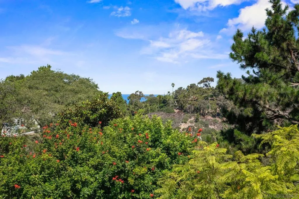 1640 El Paso Real, La Jolla, California 92037 home-pic-25