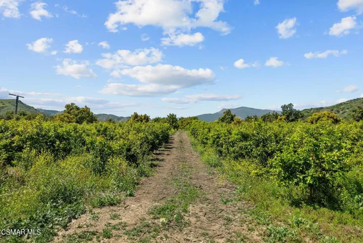 51-web-or-mls-DSC08446