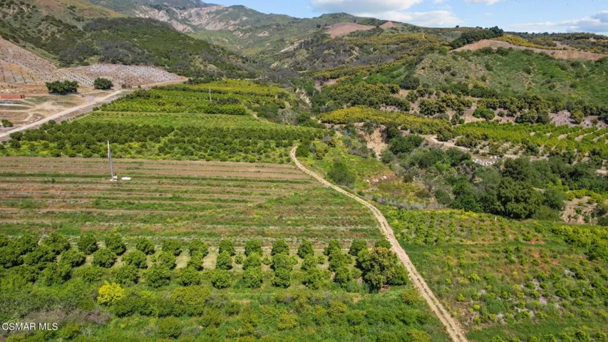 5-web-or-mls-DJI_0581