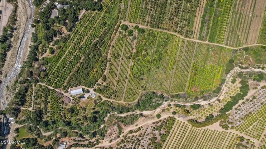 7-web-or-mls-DJI_0593