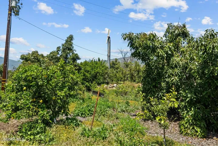 38-web-or-mls-DSC08383