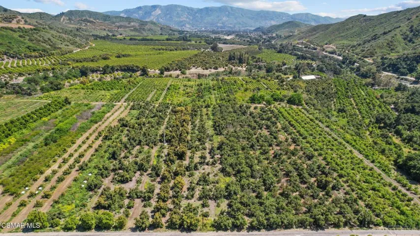 4-web-or-mls-DJI_0576