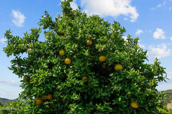 48-web-or-mls-DSC08431