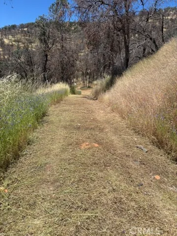 Weed abatement on driveway