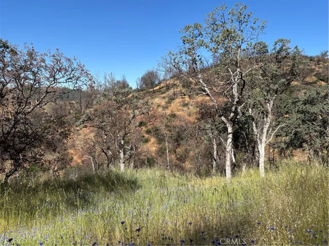 The property goes to the top of the hill.  Possible building sites on either lower or upper areas.