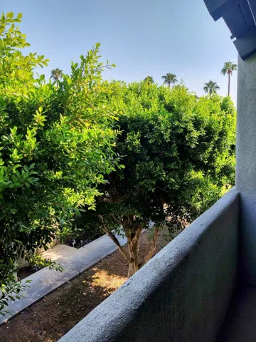 IMG_20210929_102641748_HDR_2