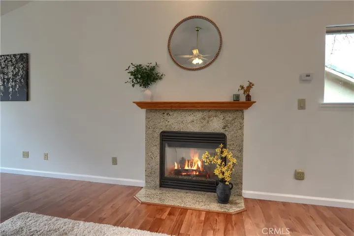 Propane Fireplace.