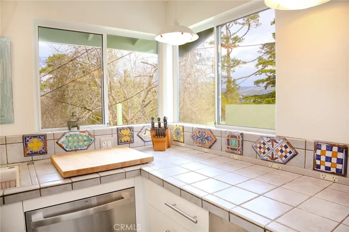 Views from Kitchen