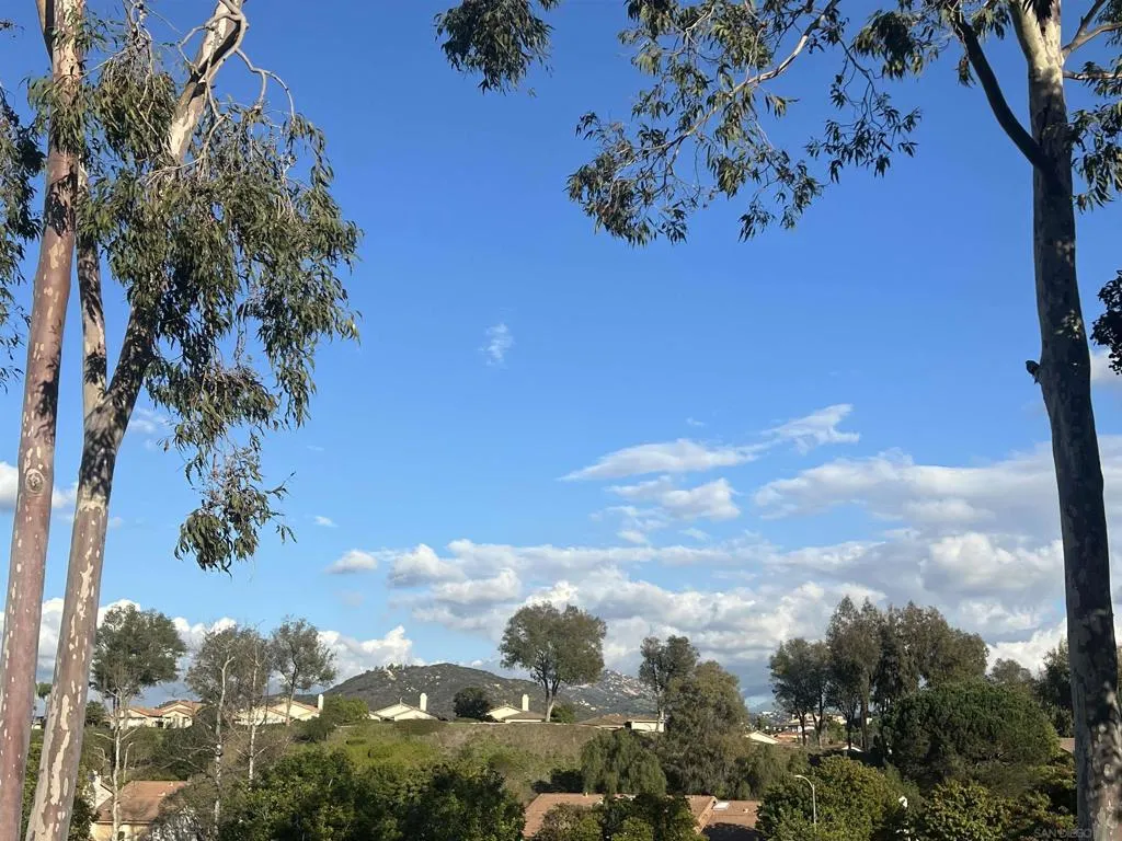 12884 Camino De La Breccia, San Diego, California 92128 home-pic-10
