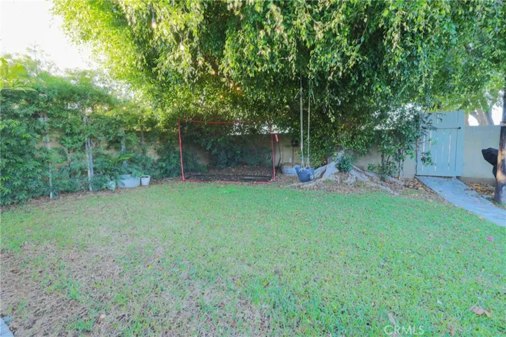 Left of Back Yard