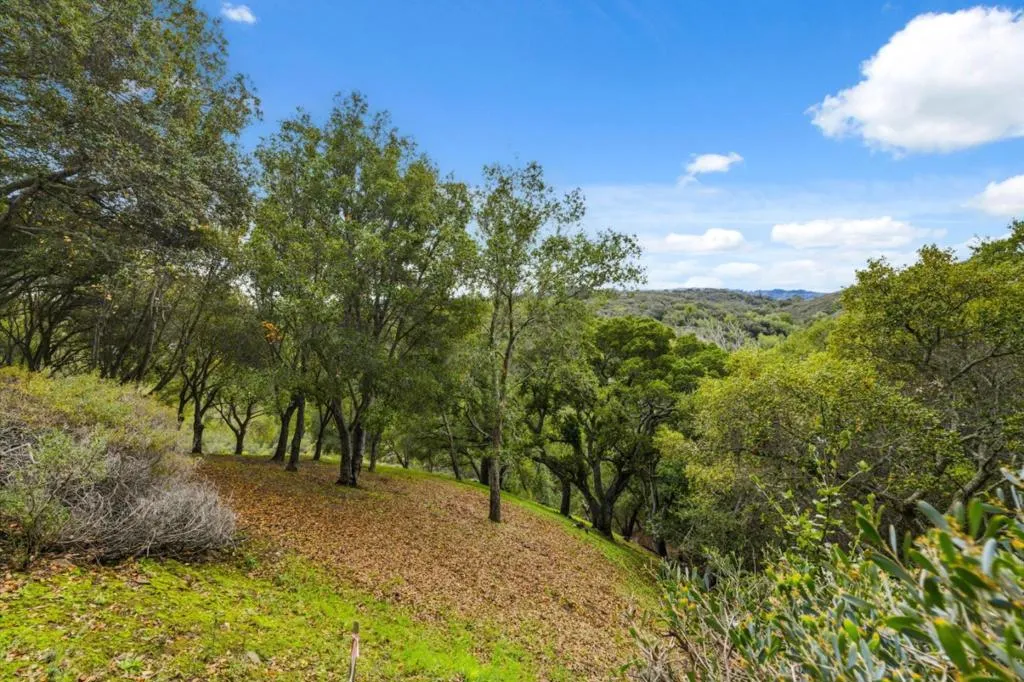 3387 Brittan Avenue 2, San Carlos, California 94070 home-pic-31