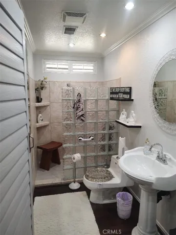 GUEST BATHROOM WITH CUSTOM GLASS FEATURES