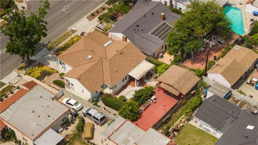 Bird's-eye Back