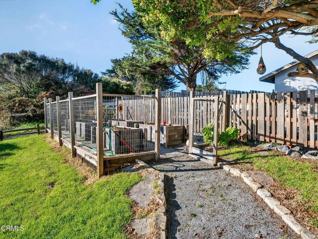 53-web-or-mls-DSC08252