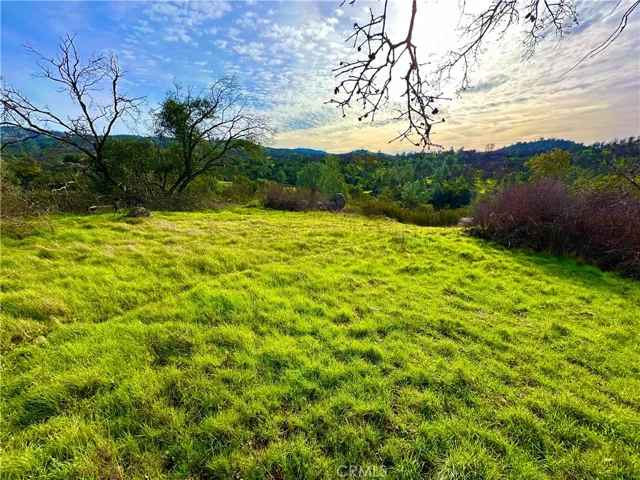 Possible building pad...