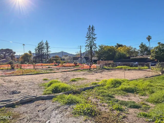 8_2698 Glenrose_ground 6