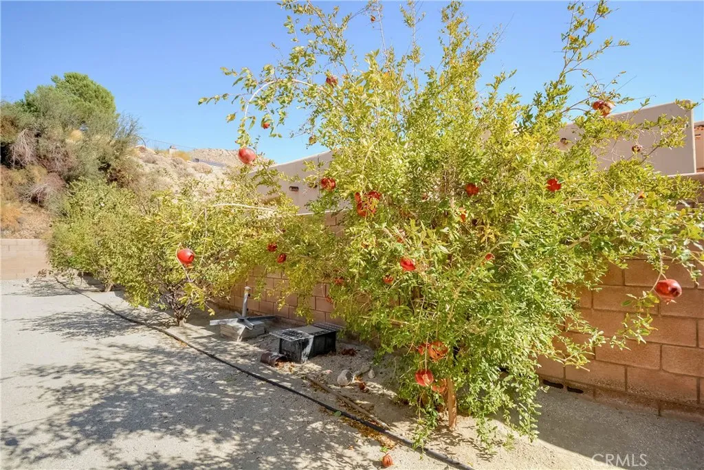 66802 Verbena, Desert Hot Springs, California 92240 home-pic-49