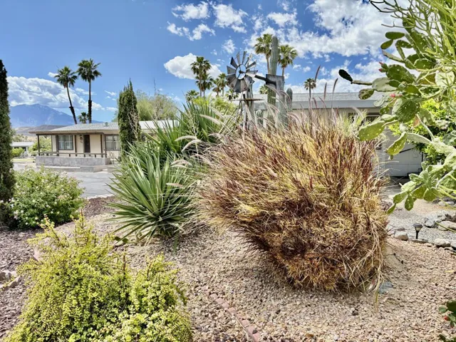 Front Landscaping