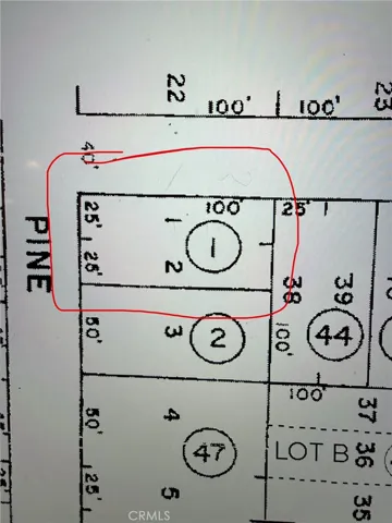 Parcel map from Accessor office