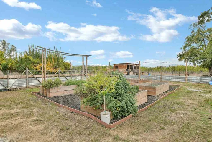 View of jungle gym with a garden
