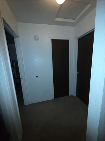 LANDING-HALL AREA TO BEDROOMS & BATHROOM