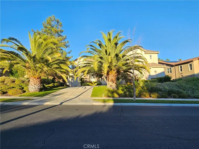 Street-level view of the property showing the full front elevation, long driveway, prominent palm trees, and landscaped front yard within a well-maintained neighborhood.
