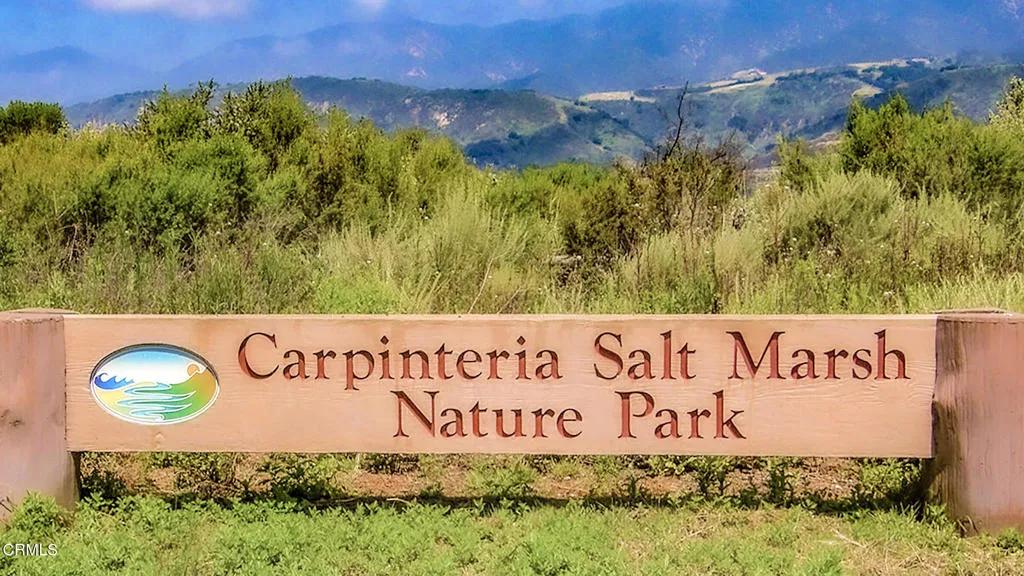 Salt Marsh Sign