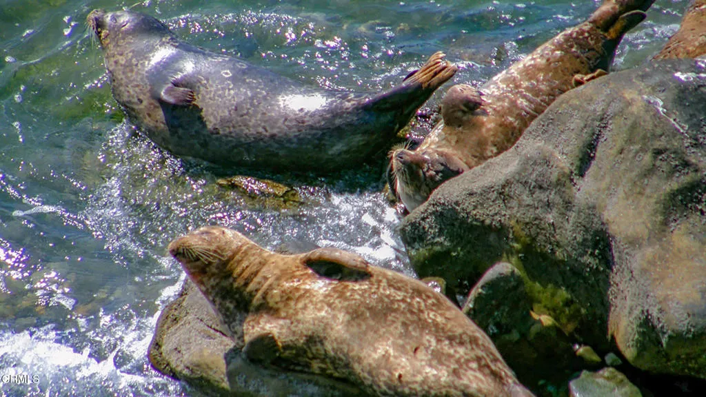 Seals