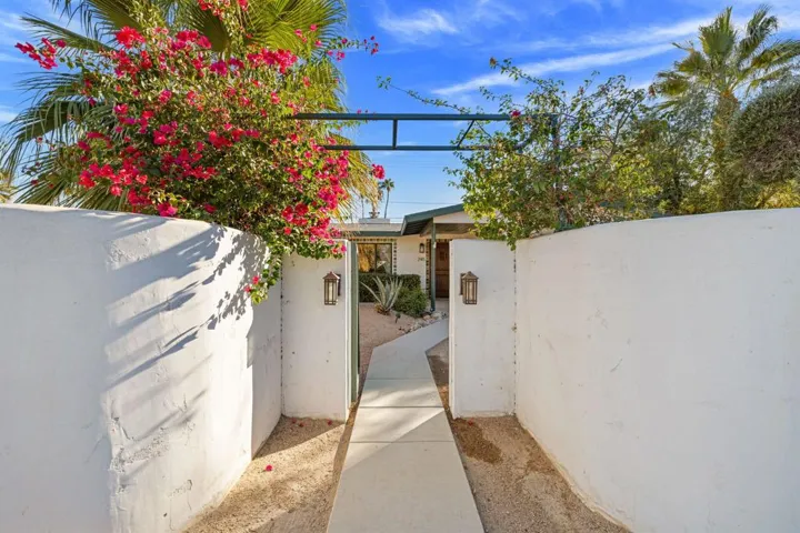 42-web-or-mls-8M4A2652