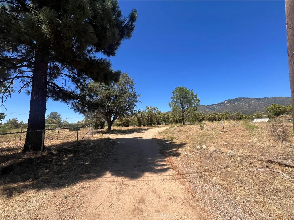 54279 Bautista Canyond Road, Anza, California 92539 home-pic-39
