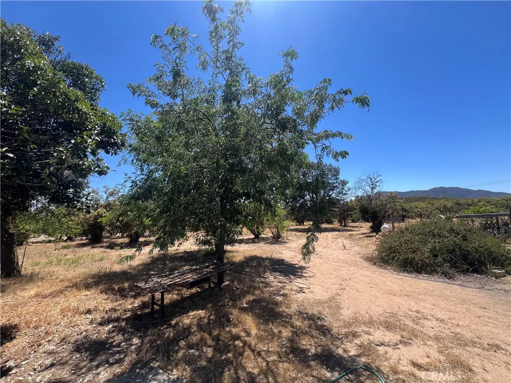 54279 Bautista Canyond Road, Anza, California 92539 home-pic-35
