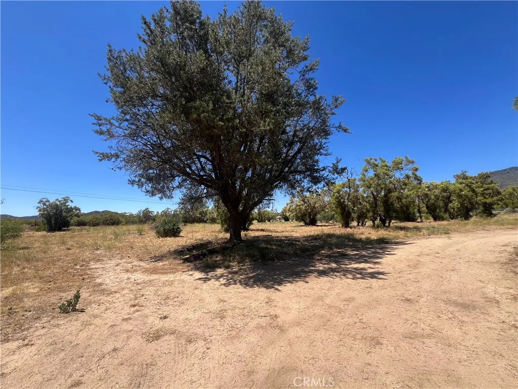 54279 Bautista Canyond Road, Anza, California 92539 home-pic-40