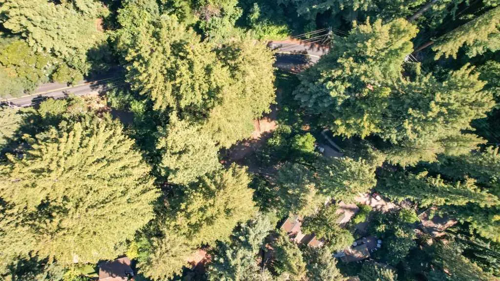 15475 Big Basin Way, Boulder Creek, California 95006 home-pic-43