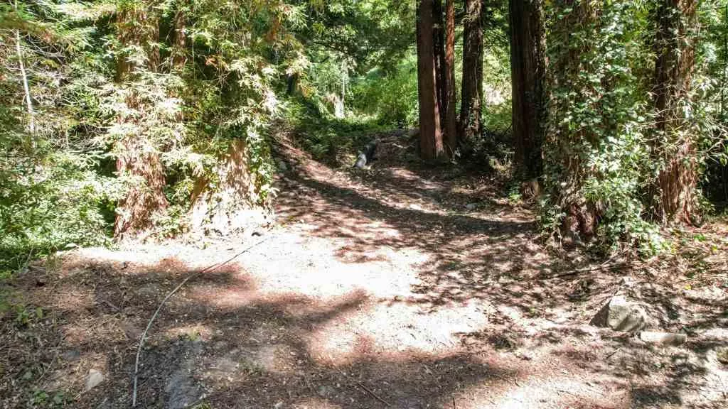 15475 Big Basin Way, Boulder Creek, California 95006 home-pic-41