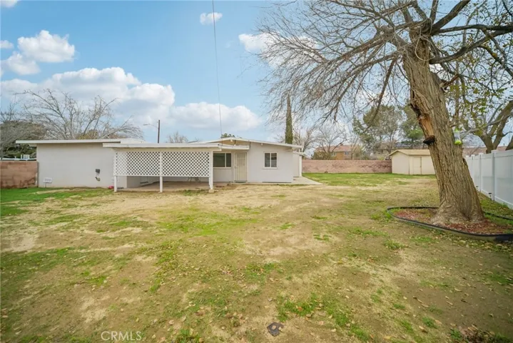 Back Yard