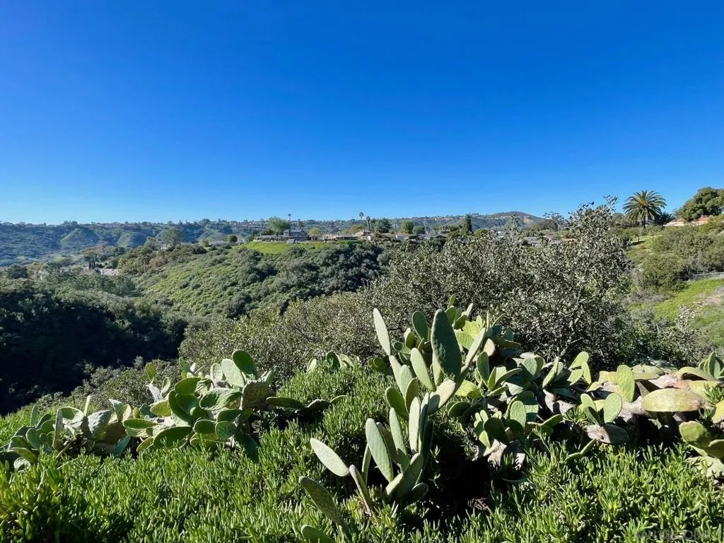 4584 Jicarillo Ave, San Diego, California 92117 home-pic-16