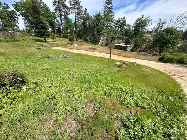 circular drive, previous house footprint with brush clean up area