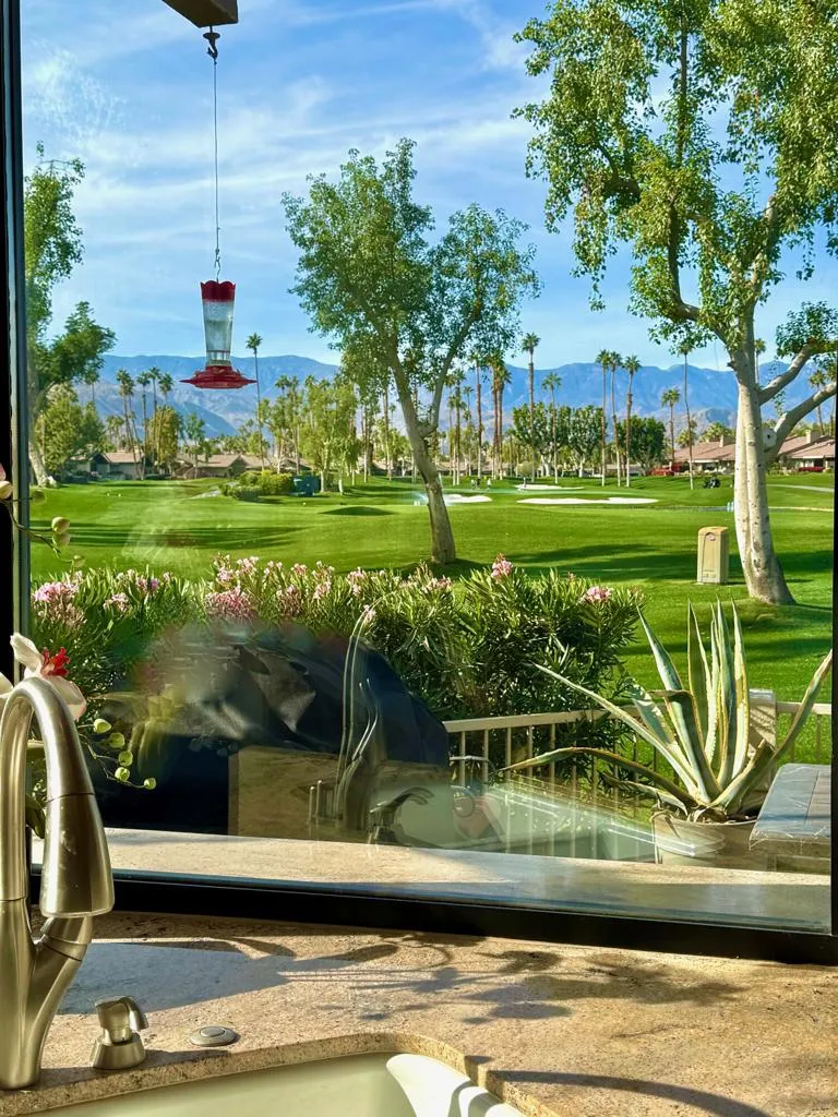 39 Blue River Drive, Palm Desert, California 92211 home-pic-16
