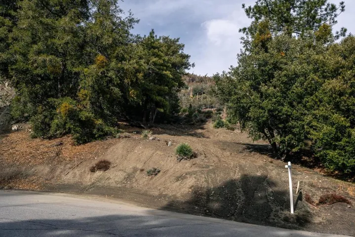 0 Timberline Dr, Wrightwood, California 92397 — photo 4