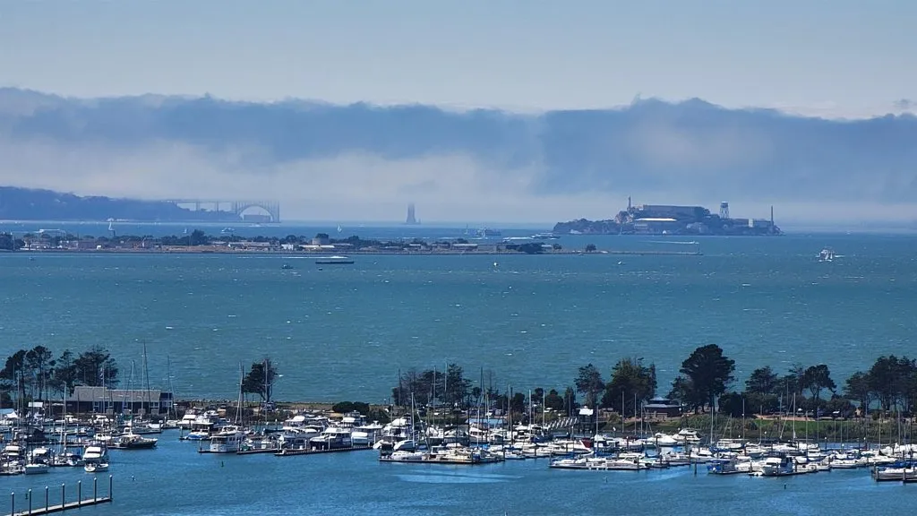 6363 Christie Ave 1915, Emeryville, California 94608 home-pic-24